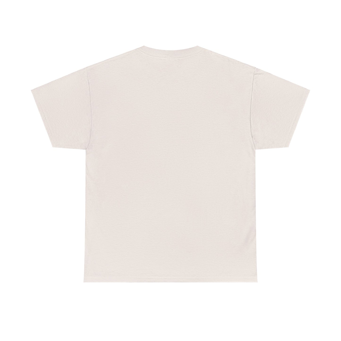 Takeoff Unisex Heavy Cotton Tee