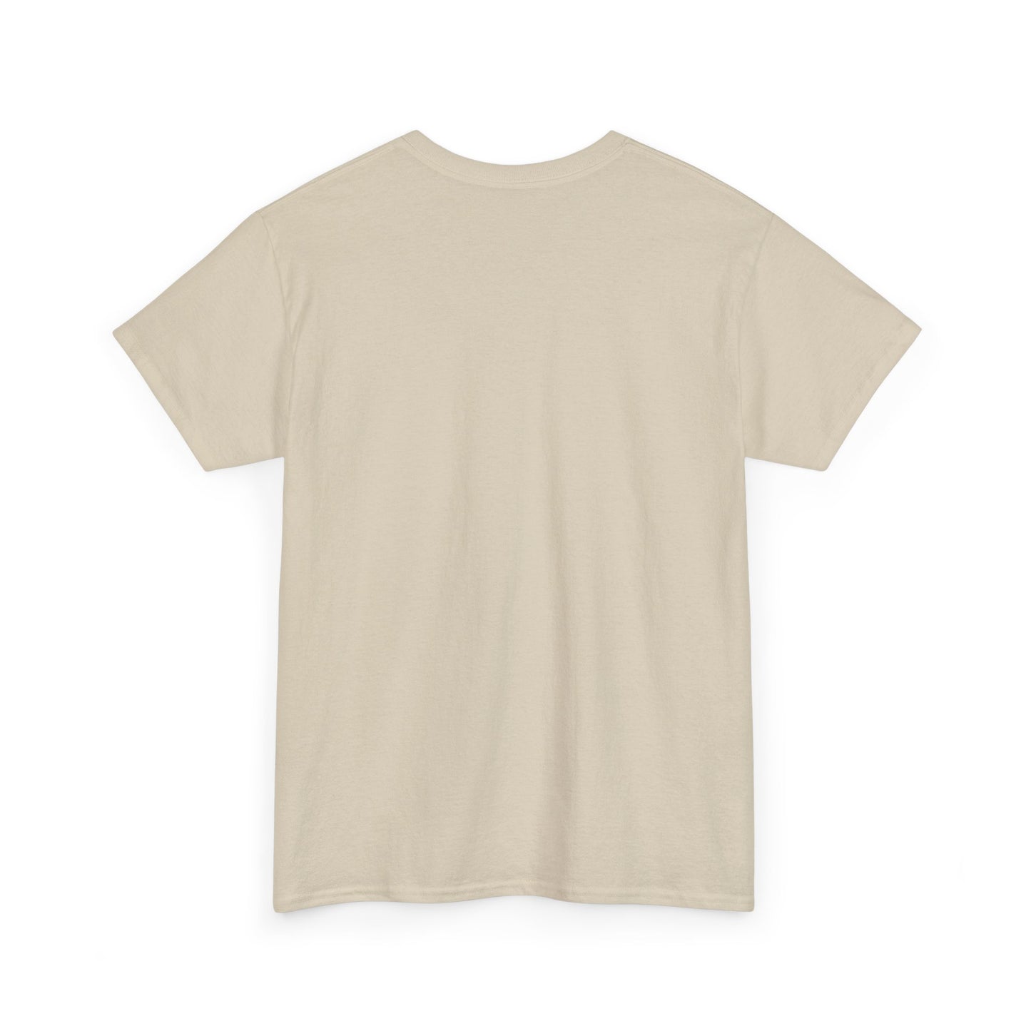 Takeoff Unisex Heavy Cotton Tee