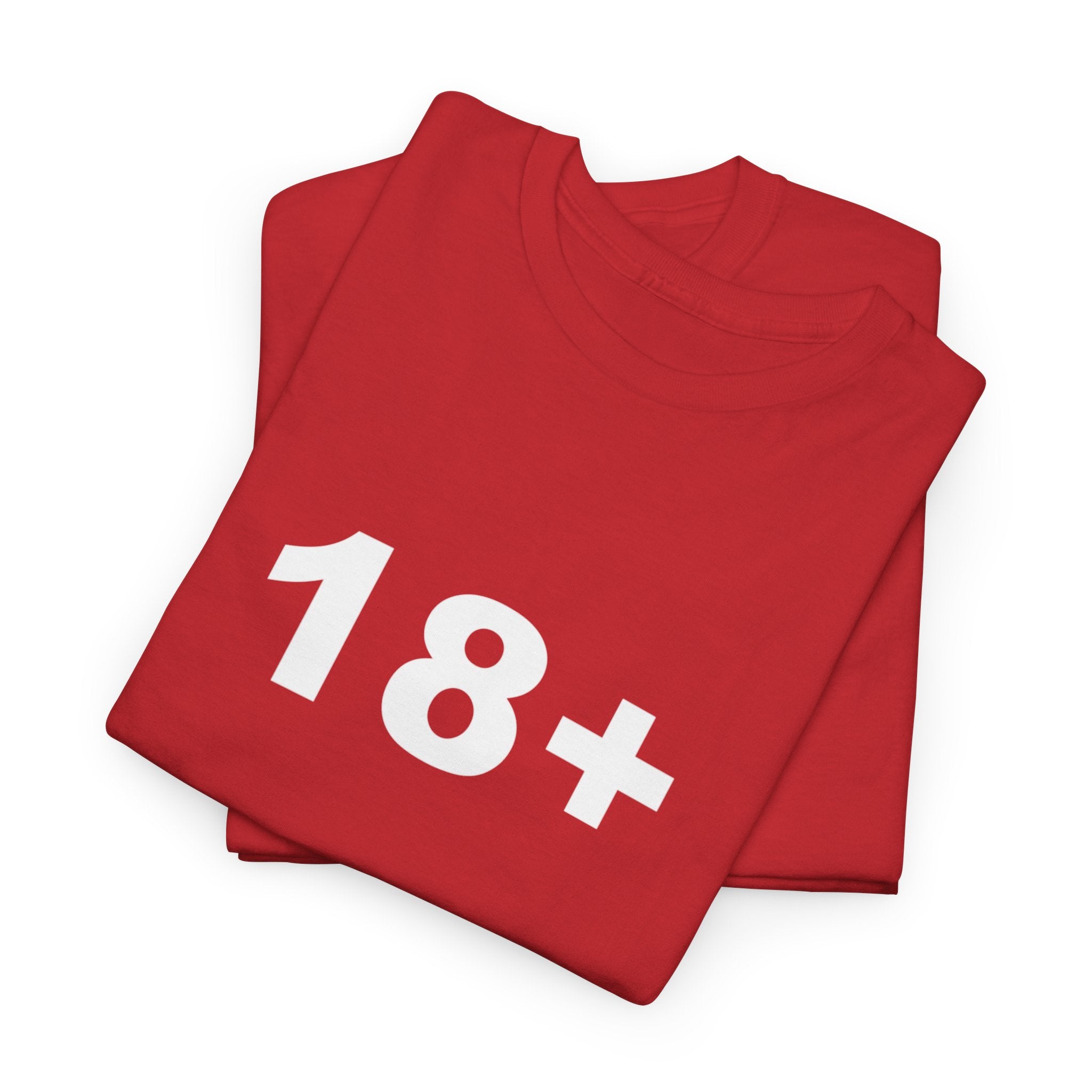 18+ Unisex Heavy Cotton Tee