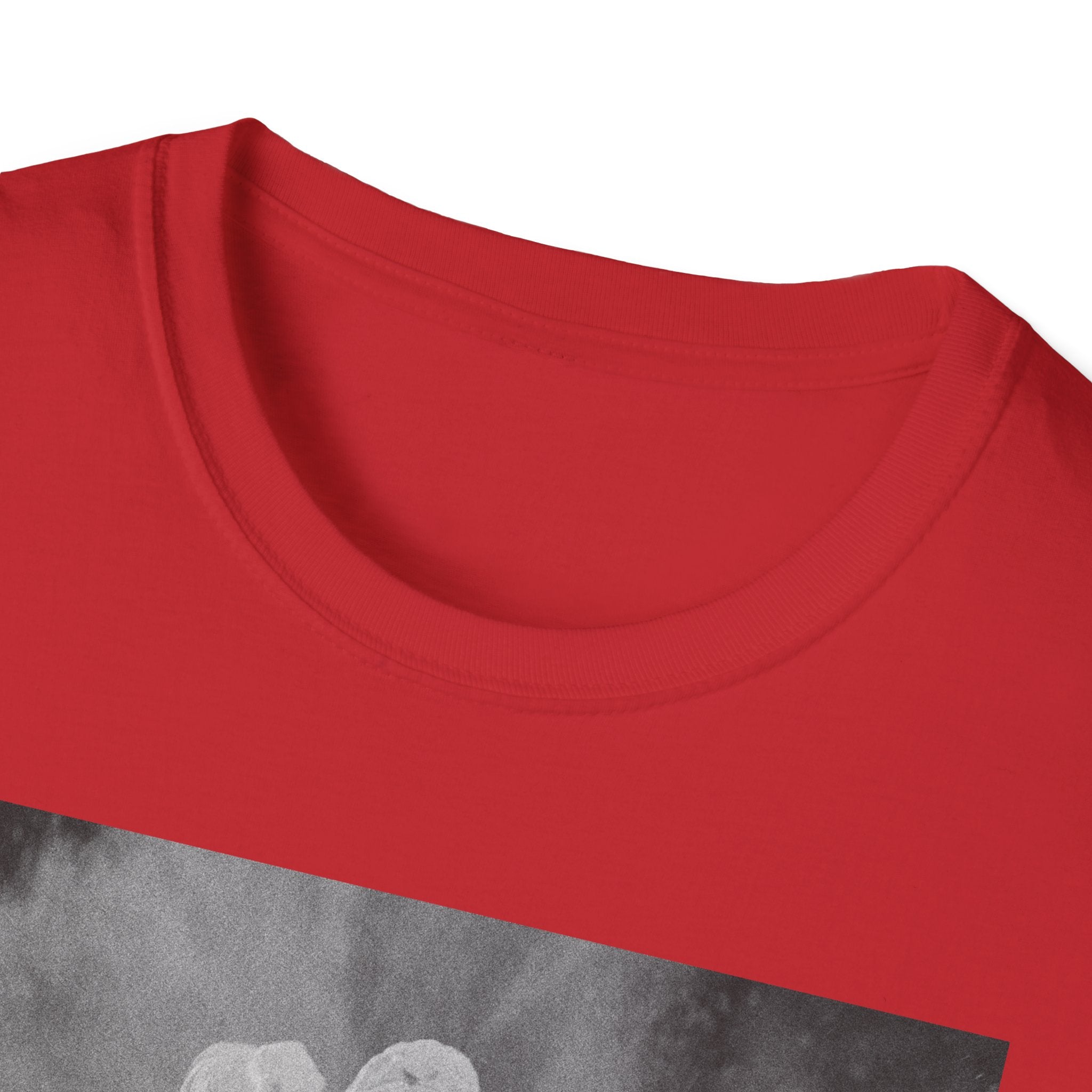 FADED Unisex Softstyle T-Shirt