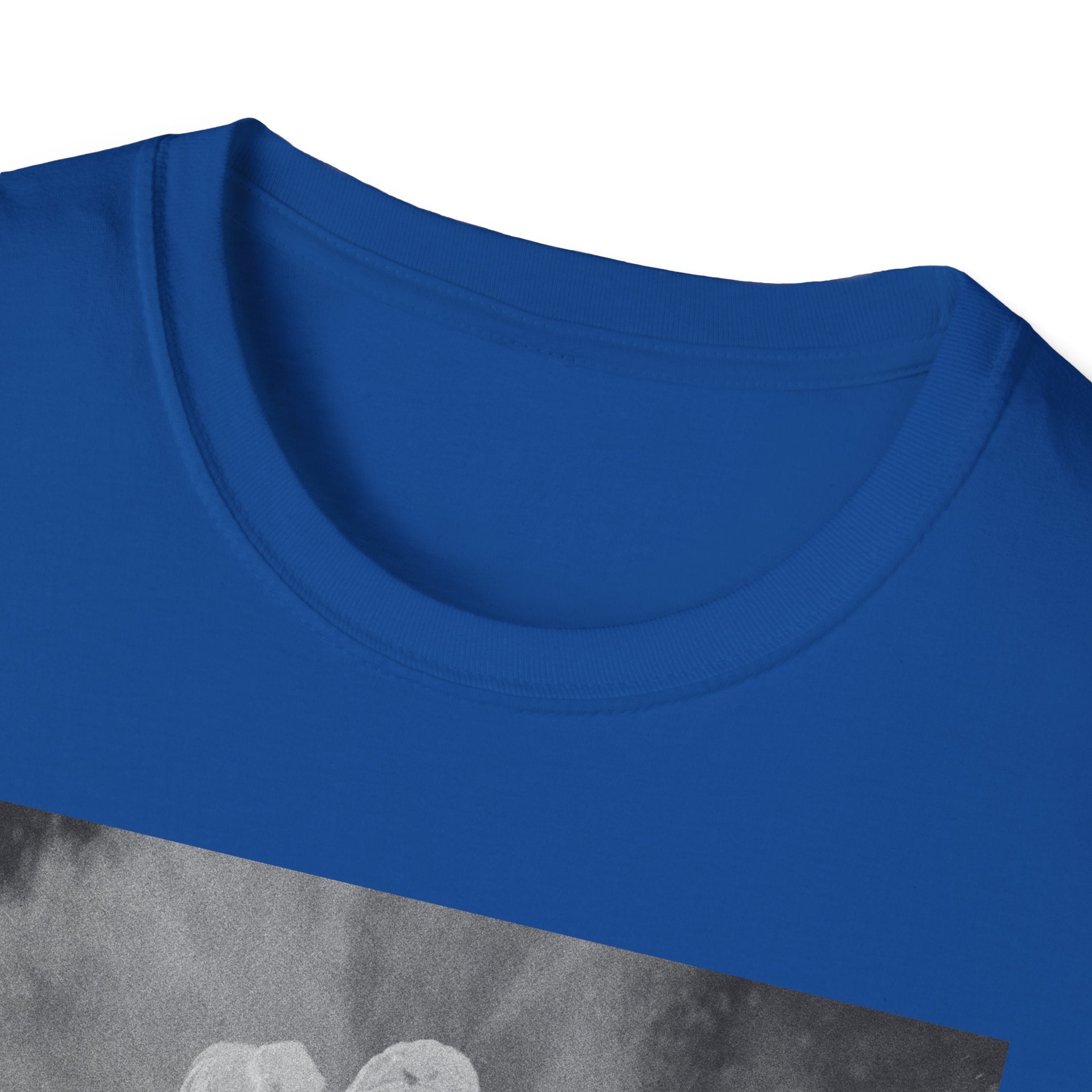 FADED Unisex Softstyle T-Shirt