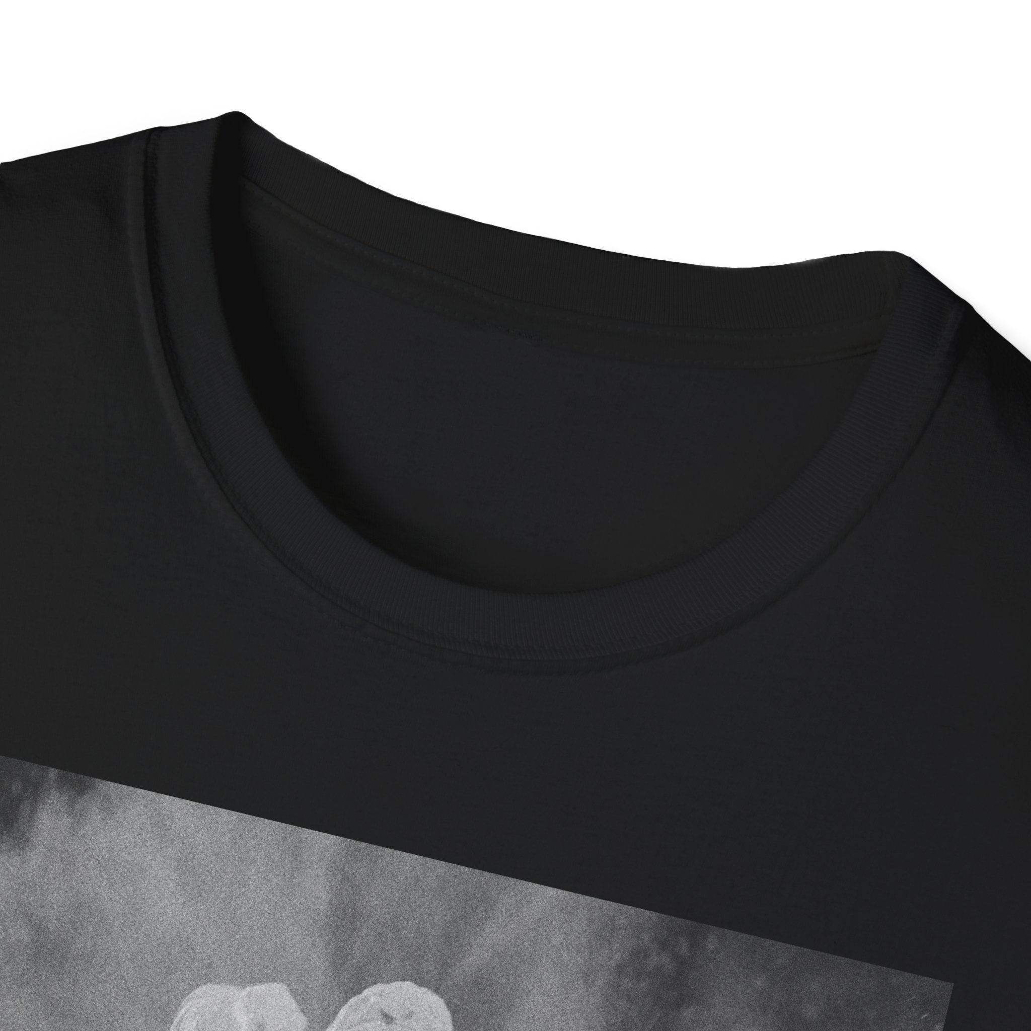 FADED Unisex Softstyle T-Shirt