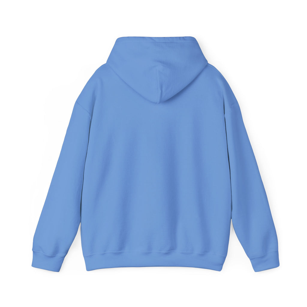 Kendrick Lamar & SZA Saturn Hoodie