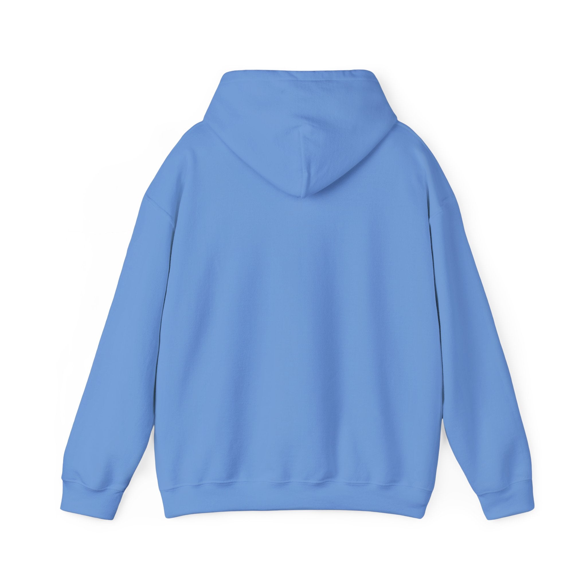 Kendrick Lamar & SZA Saturn Hoodie