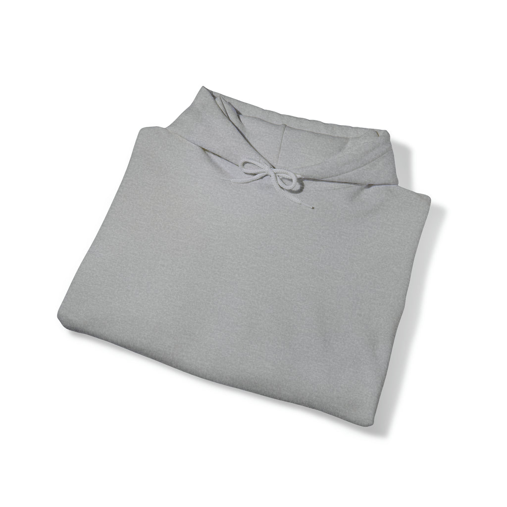 Security Hoodie