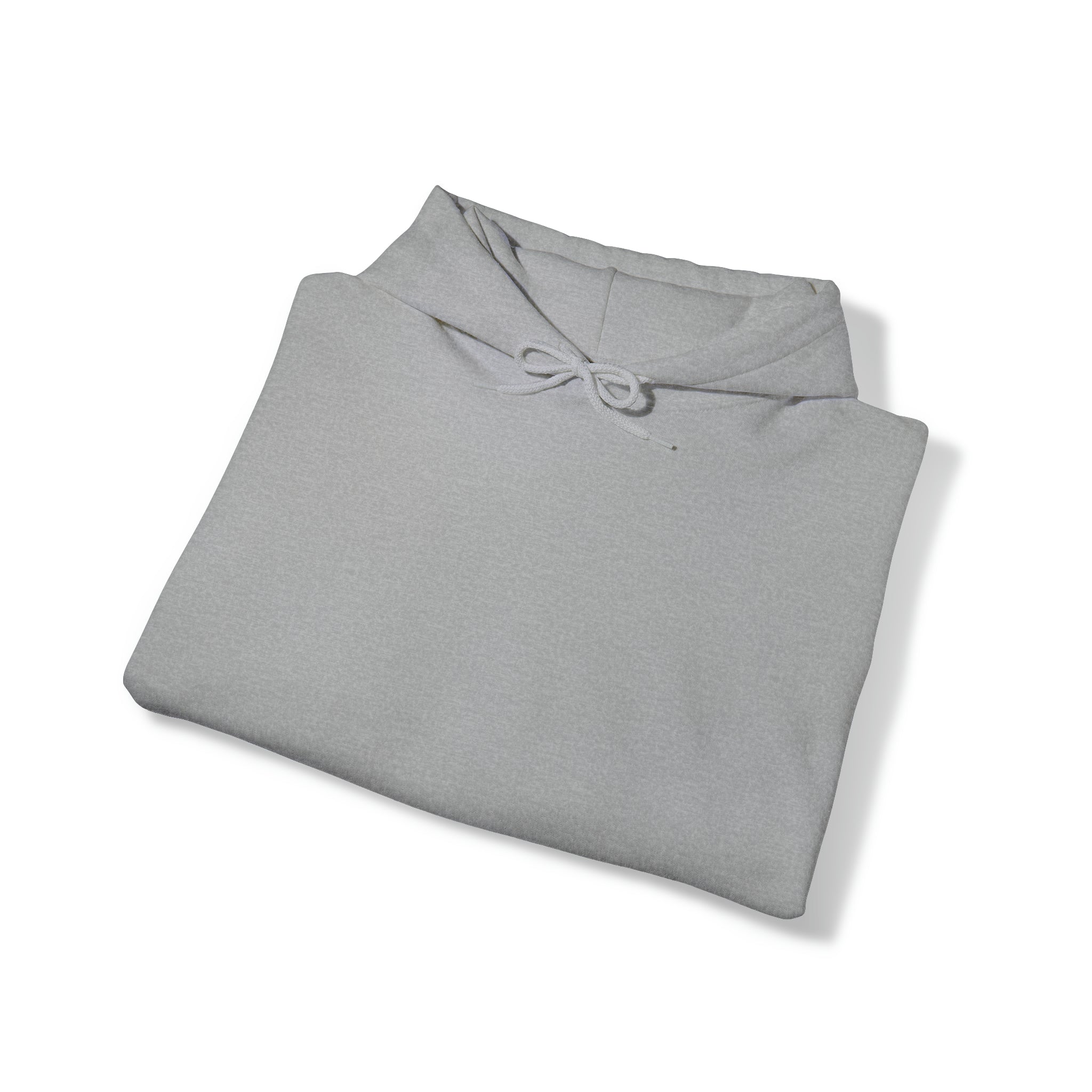 Security Hoodie