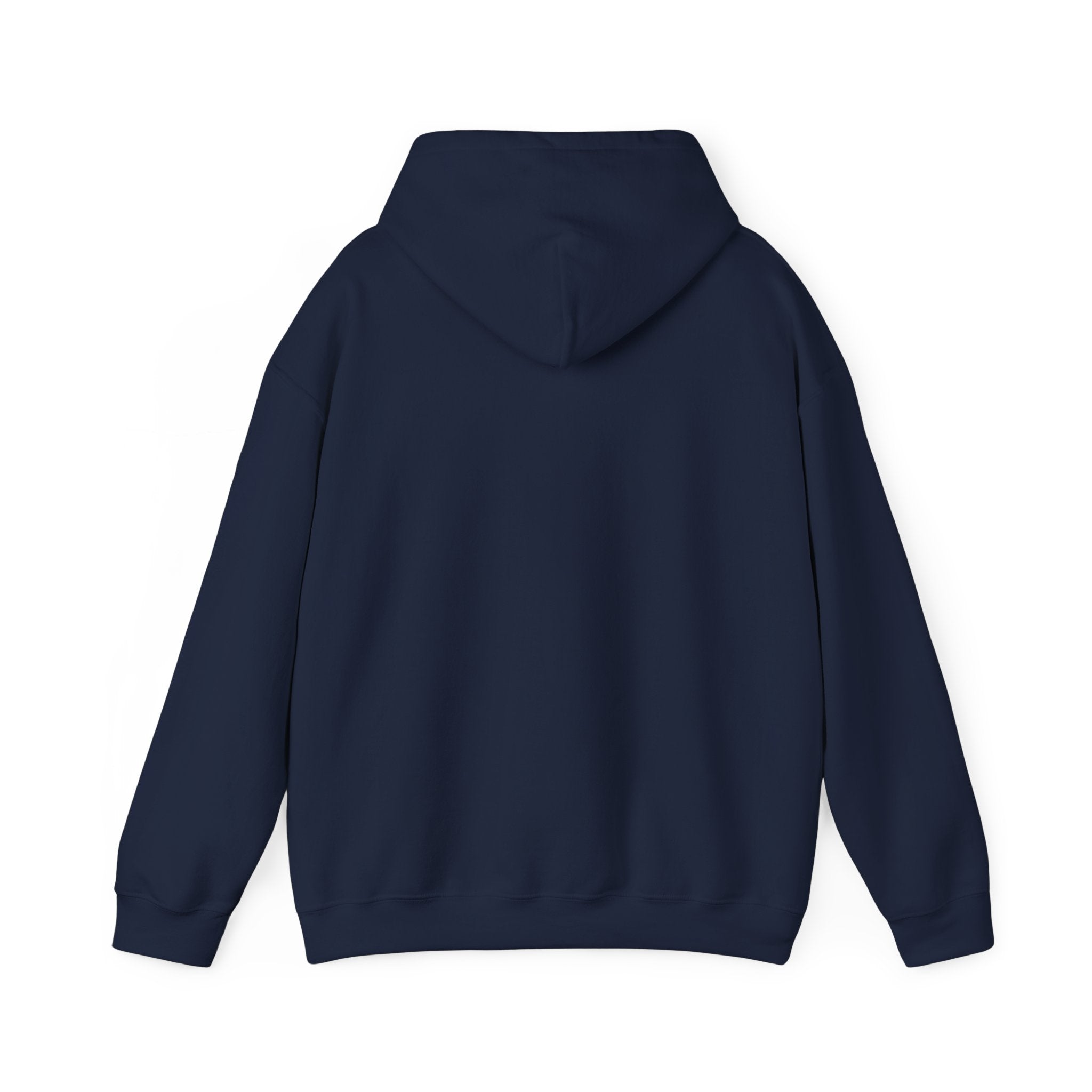 Kendrick Lamar & SZA Saturn Hoodie