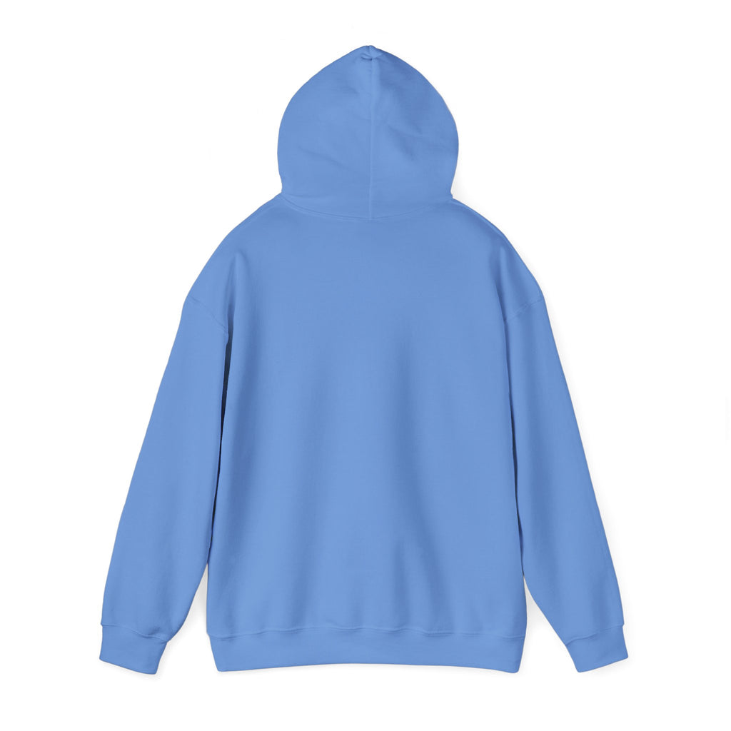 Kendrick Lamar & SZA Saturn Hoodie