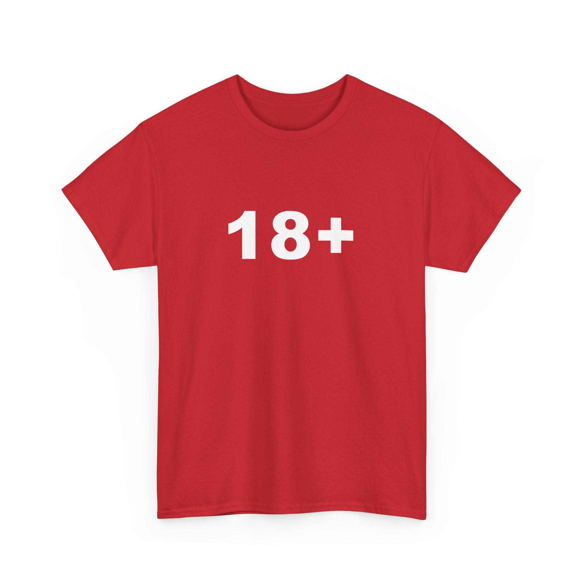 18+ Unisex Heavy Cotton Tee