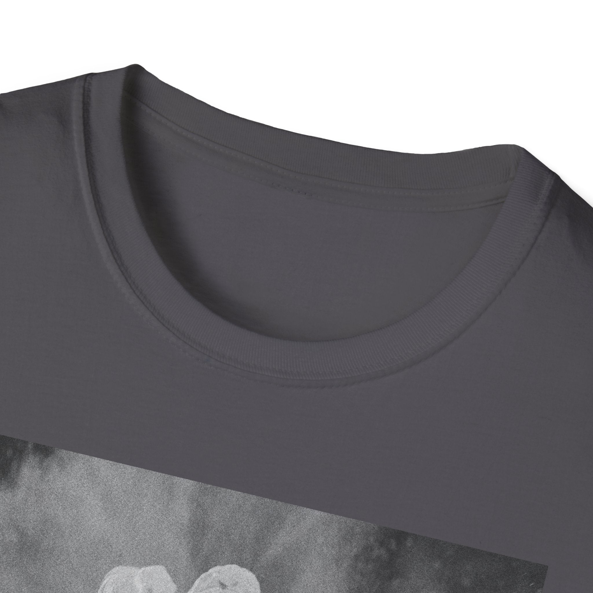 FADED Unisex Softstyle T-Shirt