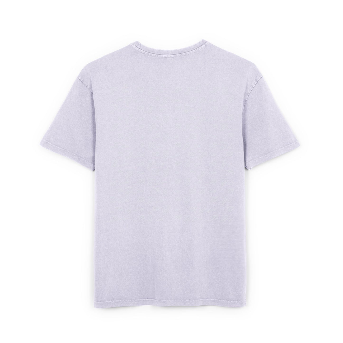 Savage Annie Oversize Washed Tee (Heavy)
