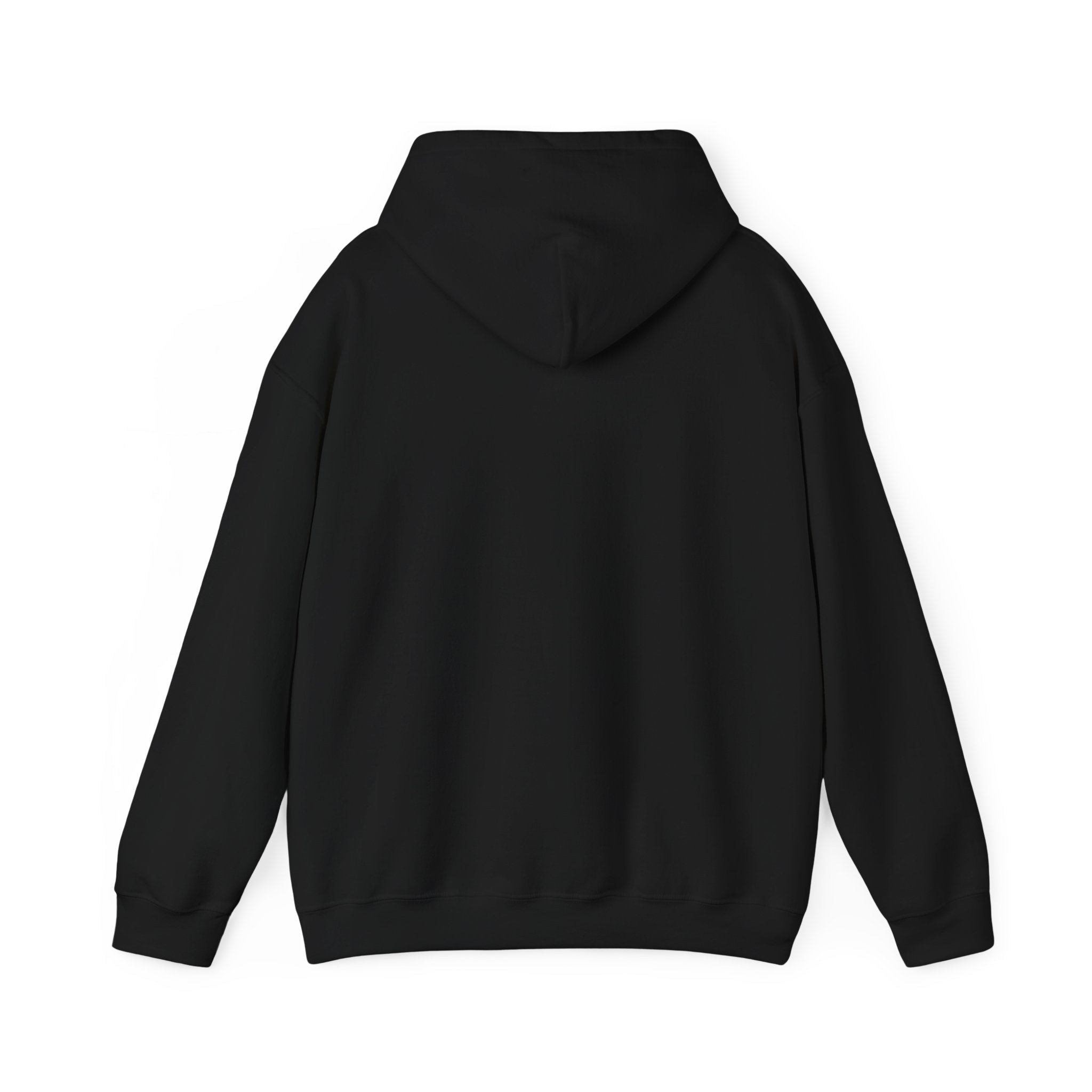 Kendrick Lamar & SZA Saturn Hoodie