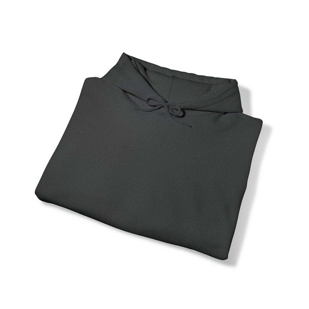 Security Hoodie
