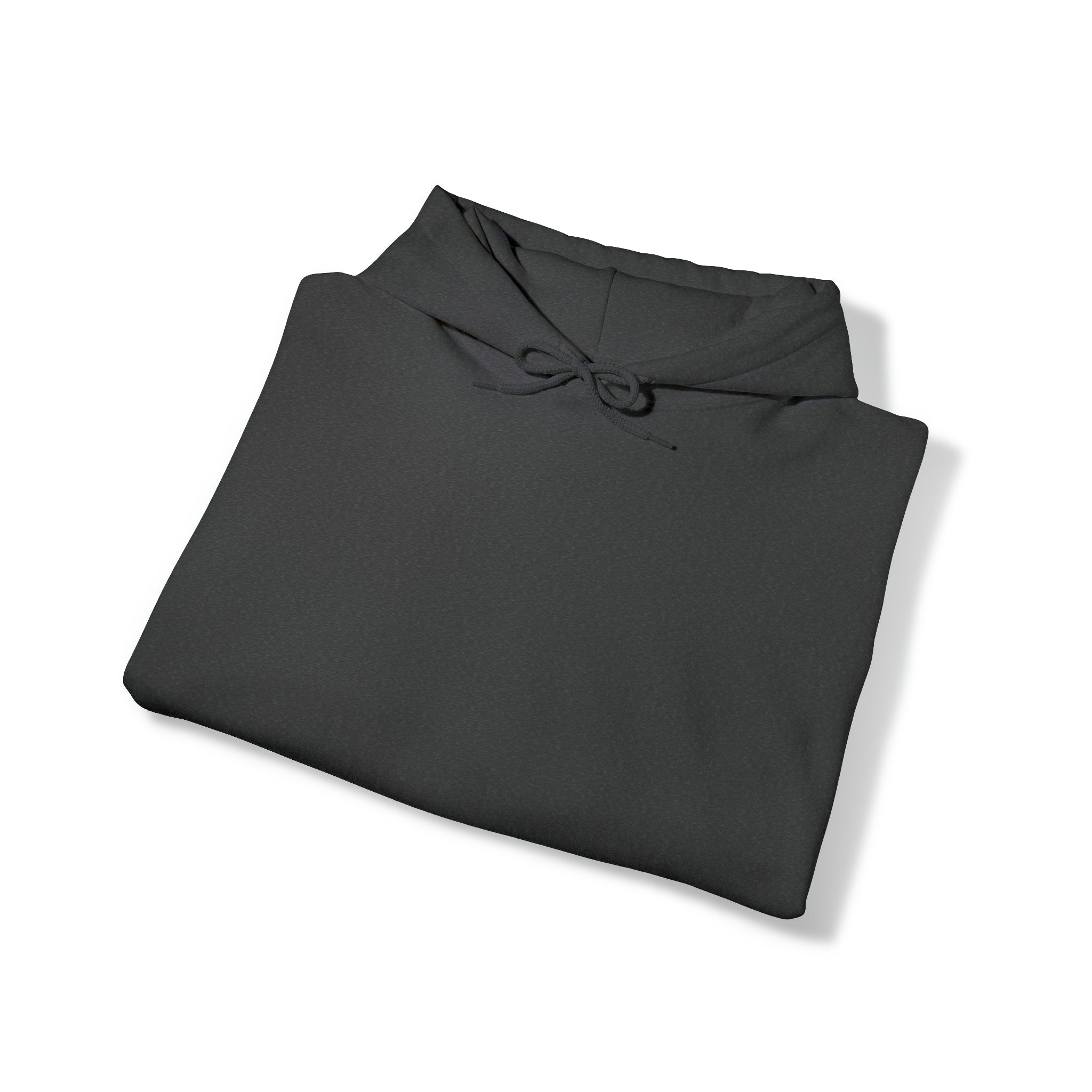 Security Hoodie