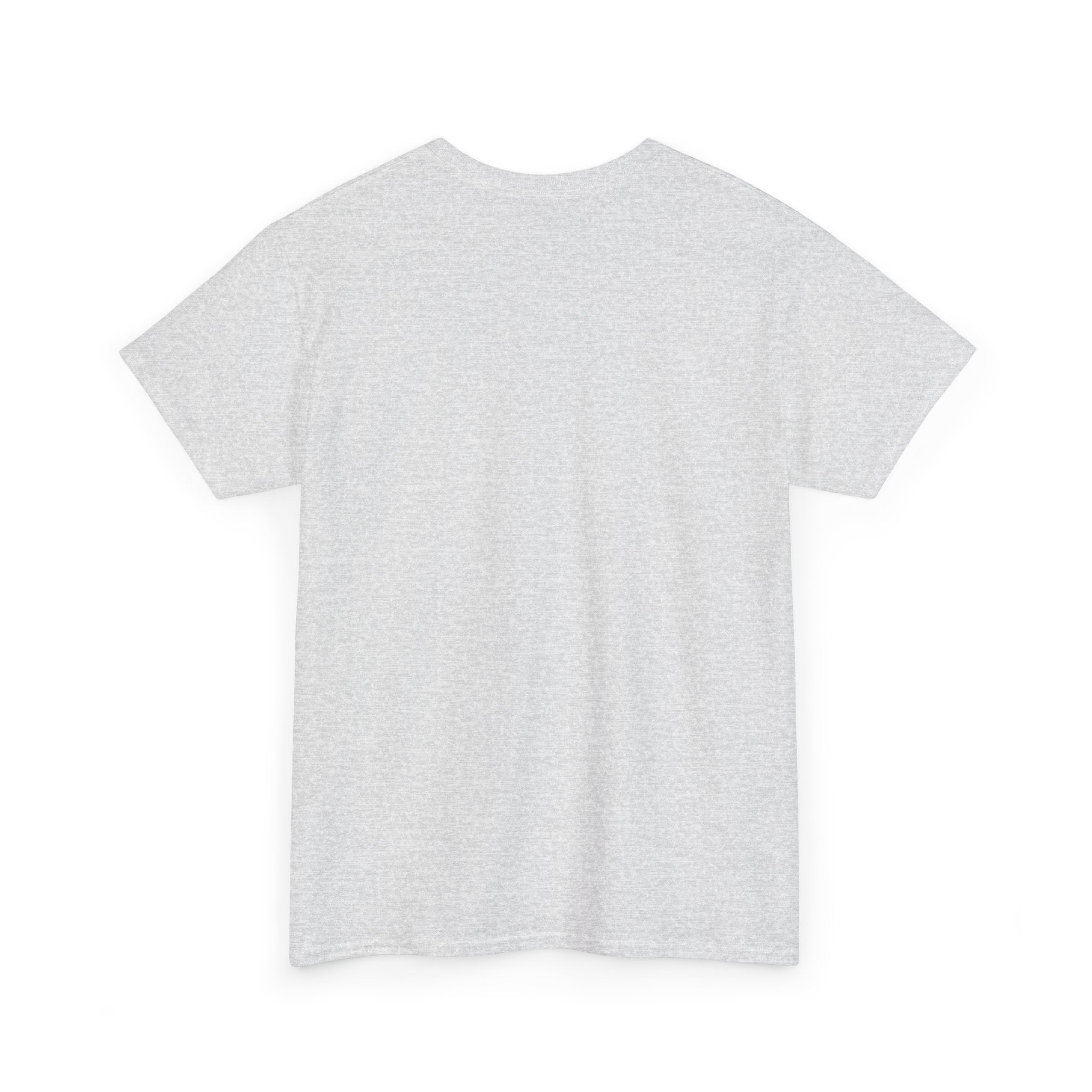 Takeoff Unisex Heavy Cotton Tee
